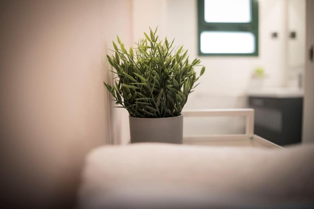 Apartamento En Centro Historico Con Patio Romano 산 로렌소 데 엘 에스코리알 외부 사진