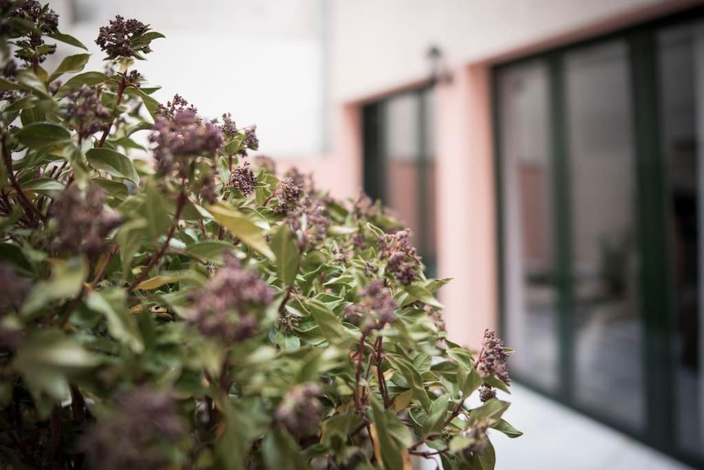 Apartamento En Centro Historico Con Patio Romano 산 로렌소 데 엘 에스코리알 외부 사진